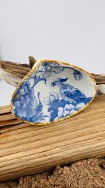 Clam Shells - Image 2