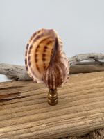 Antique Brass