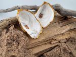 Natural Oysters - Image 2