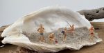 Summer Scenes - Image 22