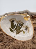 Pressed Flower Shells - Image 10