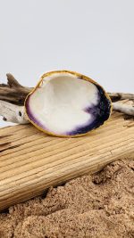 Natural Quahogs - Image 3