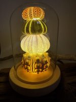 Urchin Lamps - Image 12