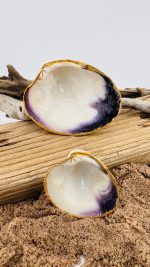 Natural Quahogs - Image 4