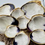 Natural Quahogs