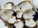 Natural Quahogs