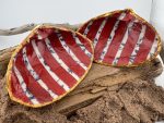 Clam Shells - Image 5