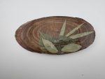 Small Platters - Oysters Only - Image 2