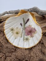 Pressed Flower Shells - Image 11