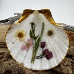 Pressed Flower Shells