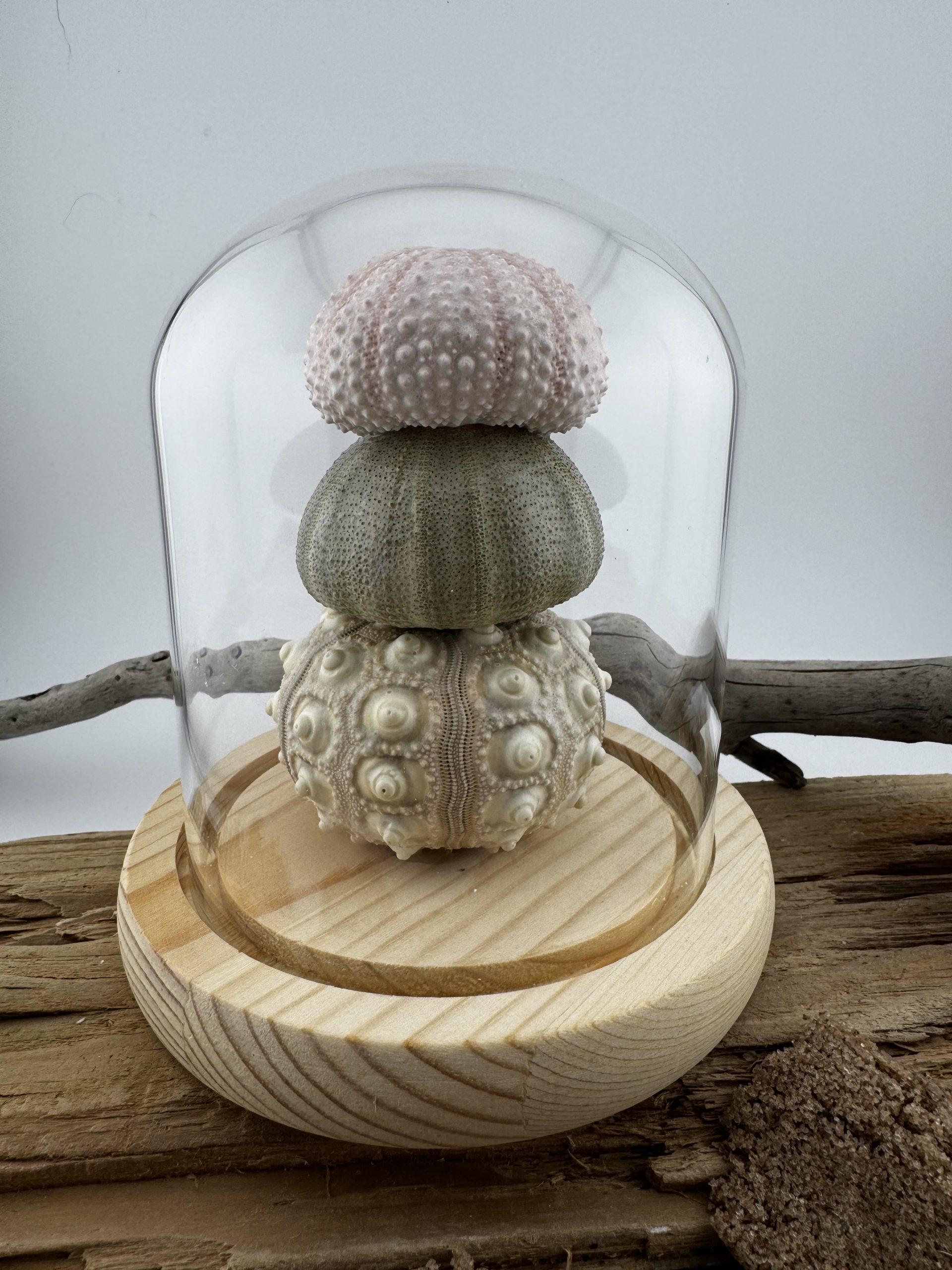 Sputnik Pile Threesome Off Urchin Lamps - Image 1
