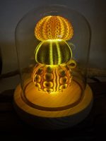 Urchin Lamps - Image 9