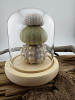 Urchin Lamps - Image 3