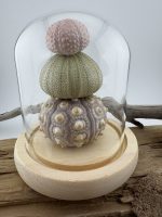 Urchin Lamps - Image 5